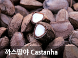  Castanha