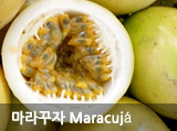  Maracuja