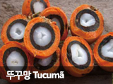 Ѳٸ Tucuma