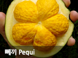  Pequi