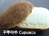 ٻѾƾ Cupuacu